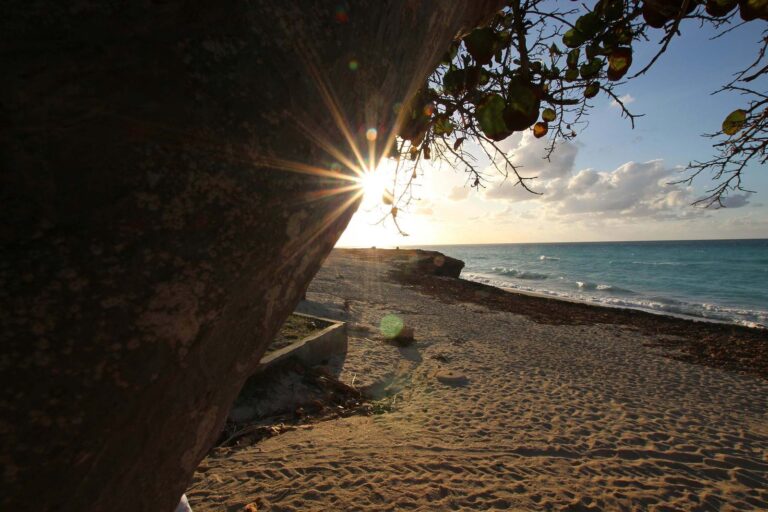 Great-Bay-Beach